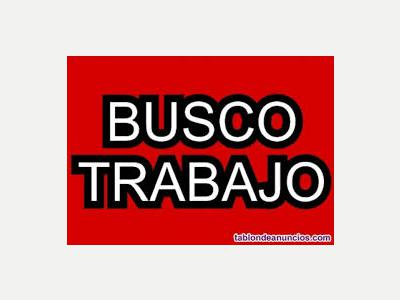 Busqueda de Trabajo  Se ofrece seor